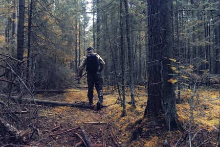 Купить диплом Егеря, лесника в Перми
