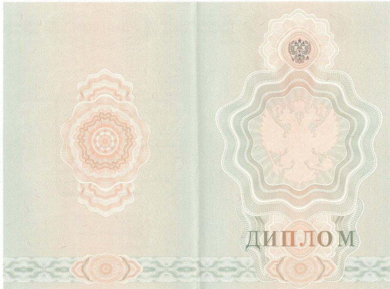 Купить Диплом о начальном образовании 2007-2009 годов в Перми Купить Диплом о начальном образовании 2007-2009 годов в Перми