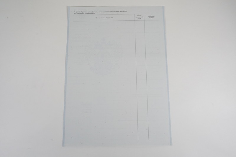 Диплом о начальном образовании 2007-2009 годов в Перми Диплом о начальном образовании 2007-2009 годов в Перми
